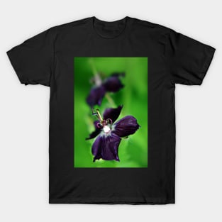 Purple Geranium Phaeum flower T-Shirt